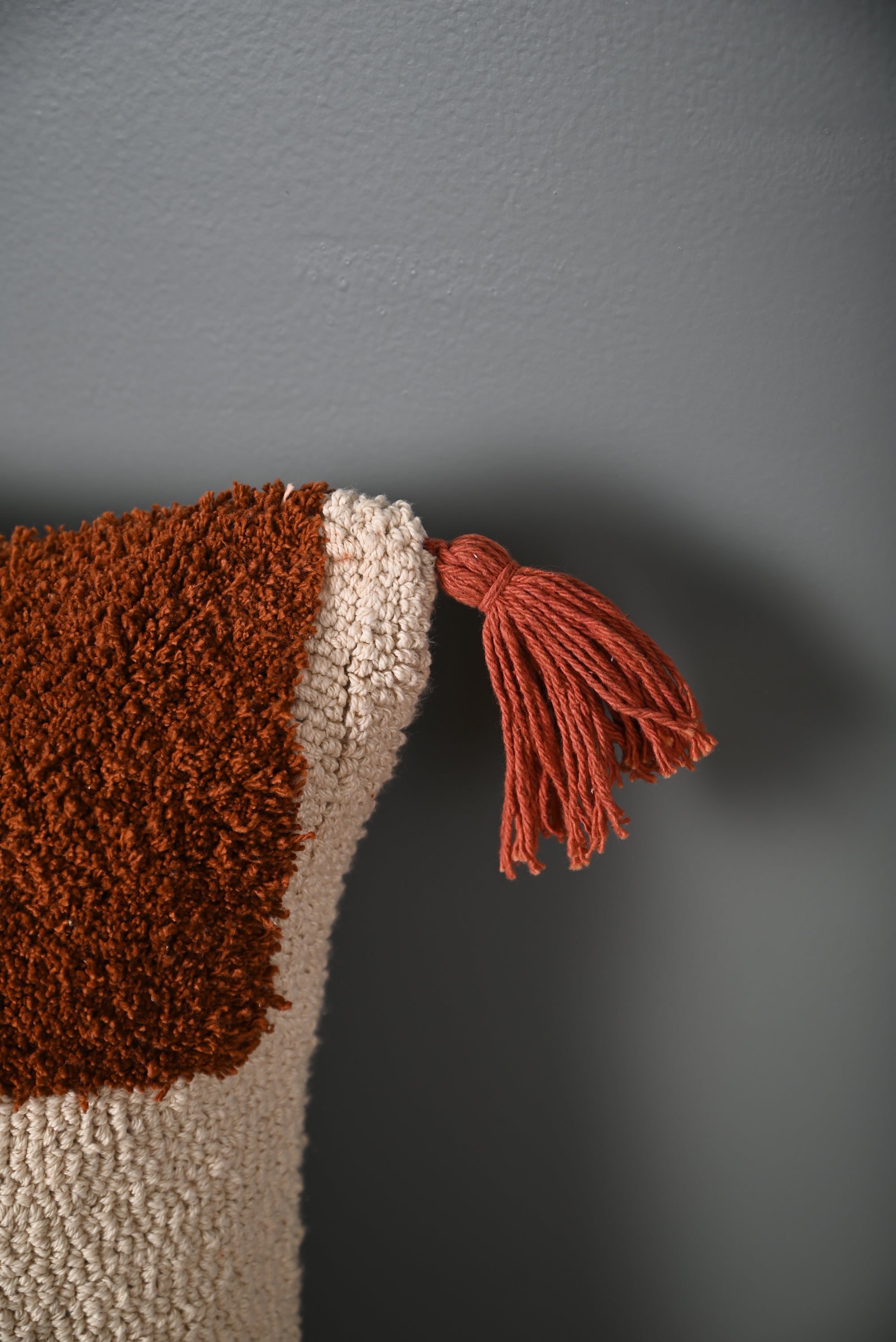 Multicolor Truffted Cotton Cushion Cover