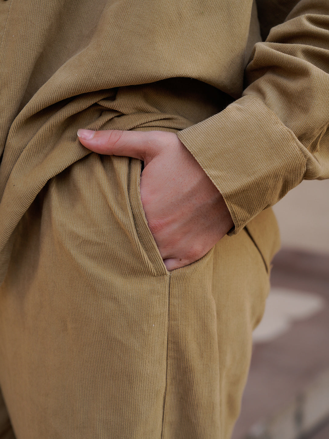 Beige Mandarin Collar Cotton Blend Solid Night Suit for Women