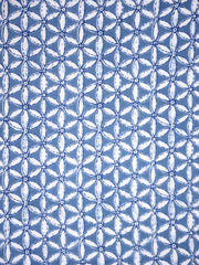 Indigo cotton screen printed fabric
